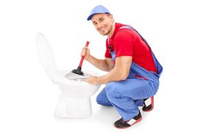 toilet repair